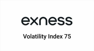 Exness是否提供波动率75指数交易?